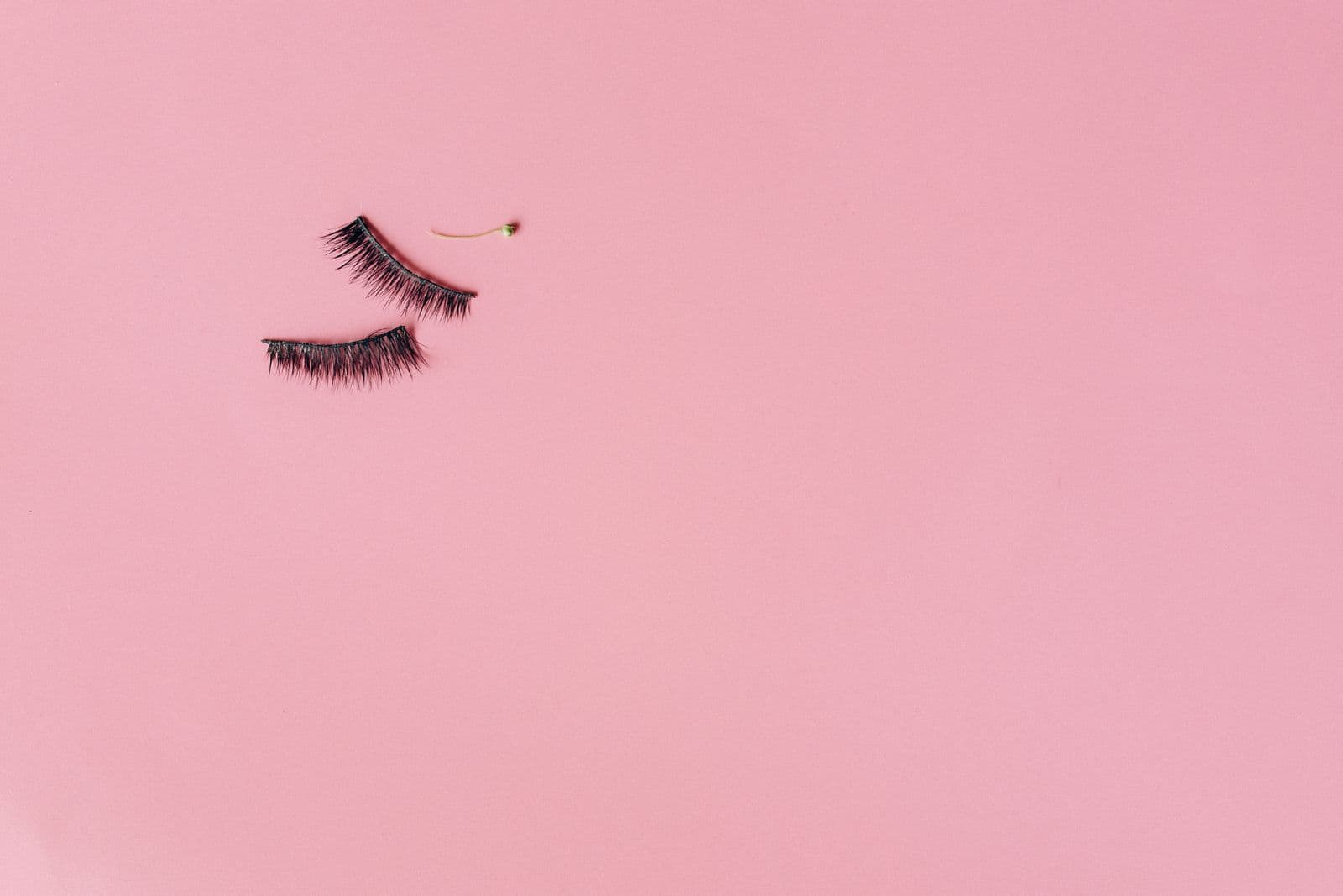 False eyelash OEM FAQ product flatlay for global beauty buyers